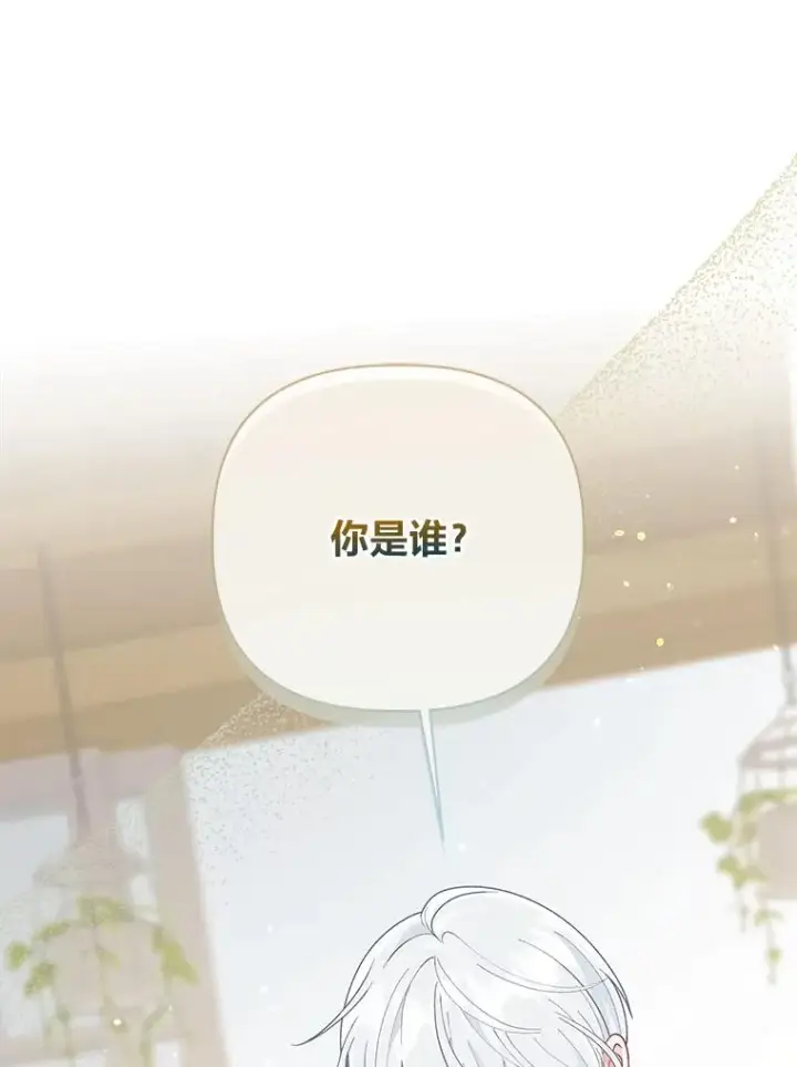 《穿越者的幸运礼》73.你是谁图102
