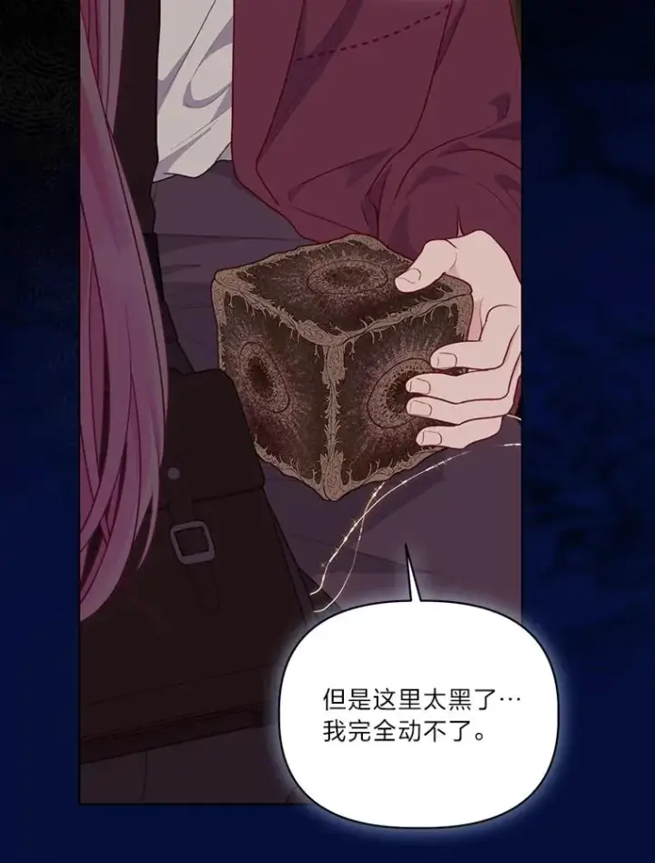 《穿越者的幸运礼》78.护短狂魔图59