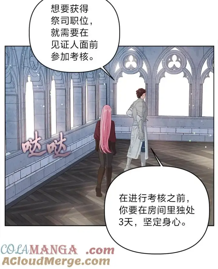 《穿越者的幸运礼》81.圣女的身份图13