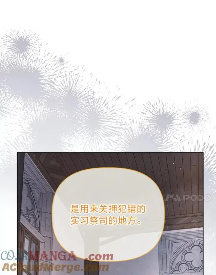 《穿越者的幸运礼》81.圣女的身份图34