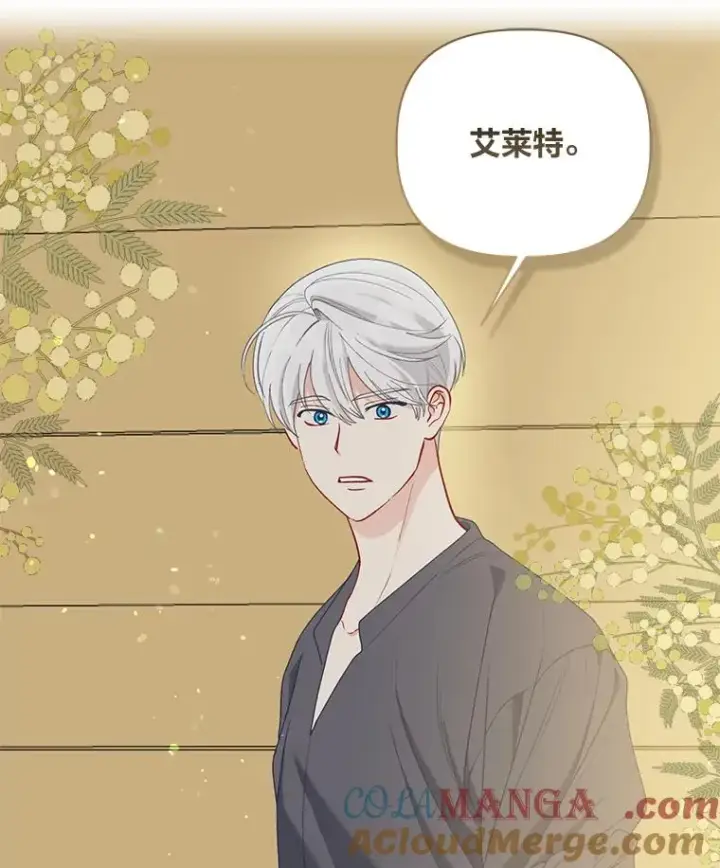 《穿越者的幸运礼》88.冰雪女王的童话图21