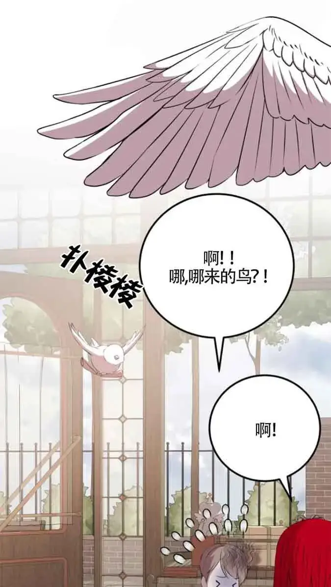 《出售主人公的cp股》第79话图41