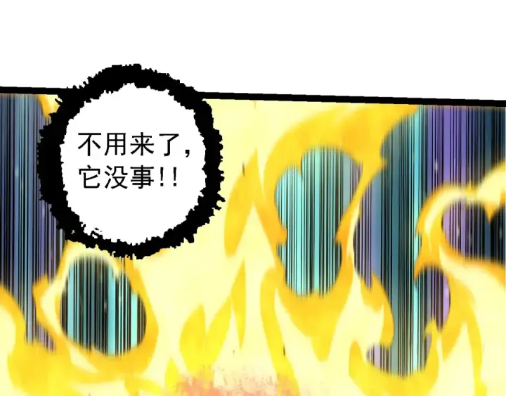 《从大树开始的进化》第149话 闪光战虎图15