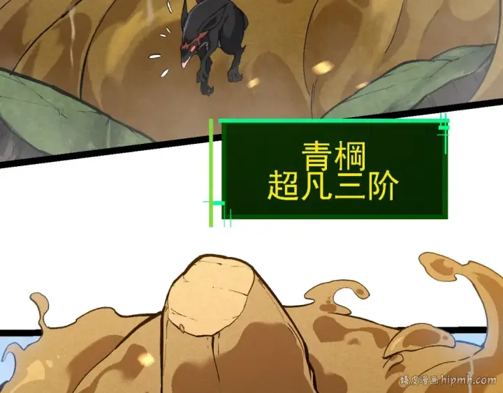 《从大树开始的进化》第188话 战火图32