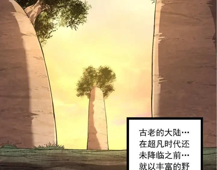 《从大树开始的进化》第245话 蛮族图49