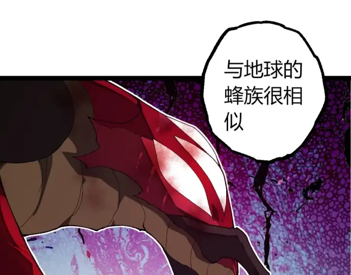 《从大树开始的进化》第382话 王虫图35