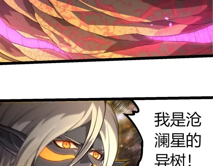 《从大树开始的进化》第384话 虫母图23