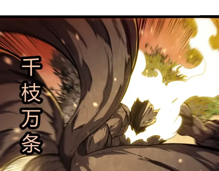 《从大树开始的进化》第435话 神树与天使图79
