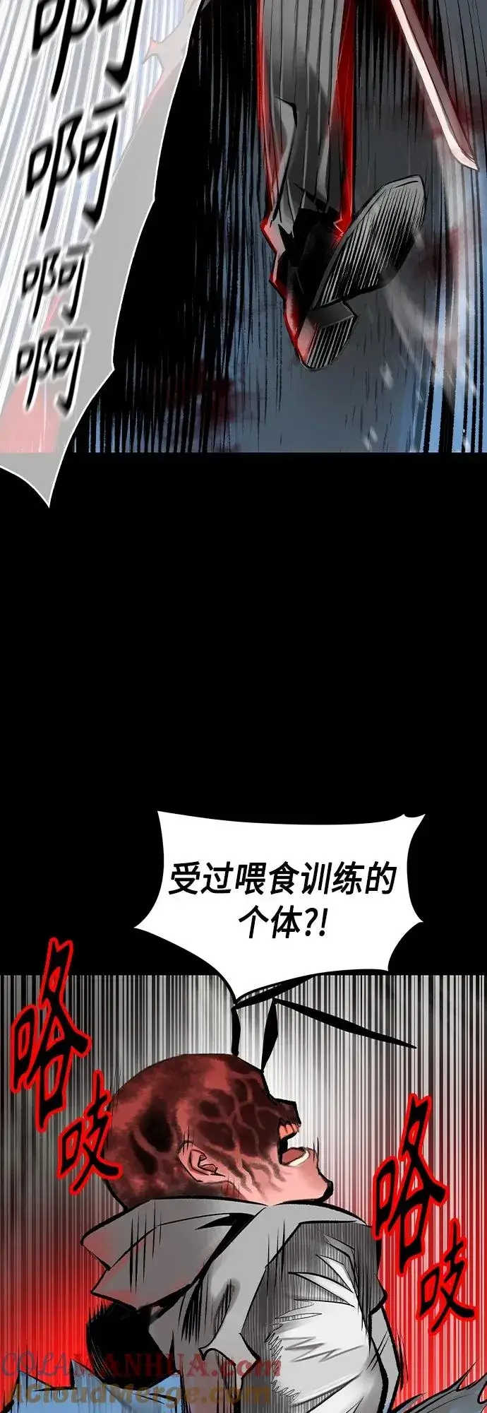 《丛林果汁》第2季 第20话图13