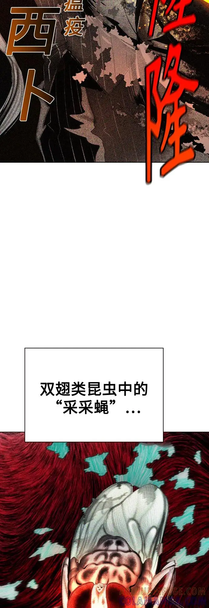 《丛林果汁》第3季 第24话图64