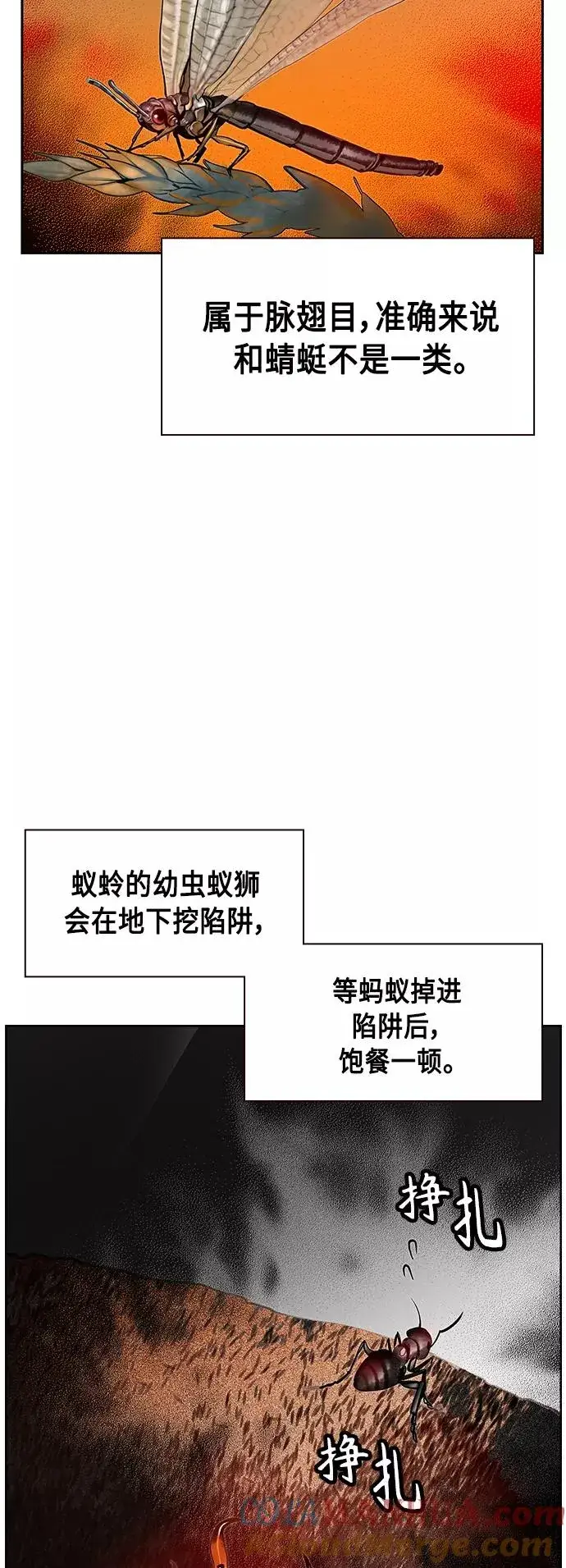 《丛林果汁》第41话图49