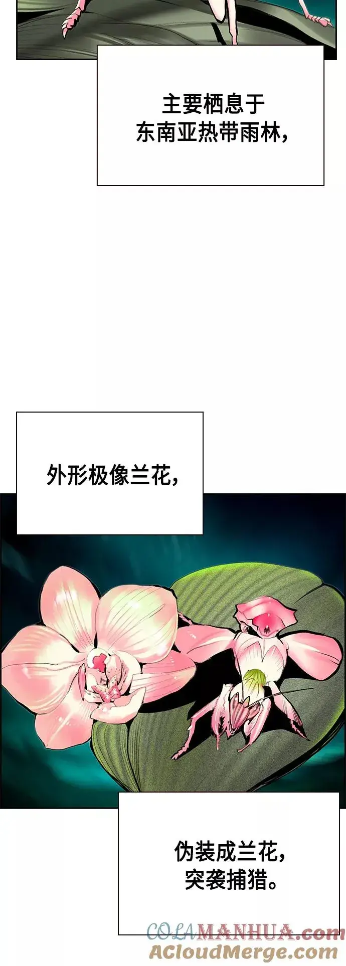 《丛林果汁》第57话图4
