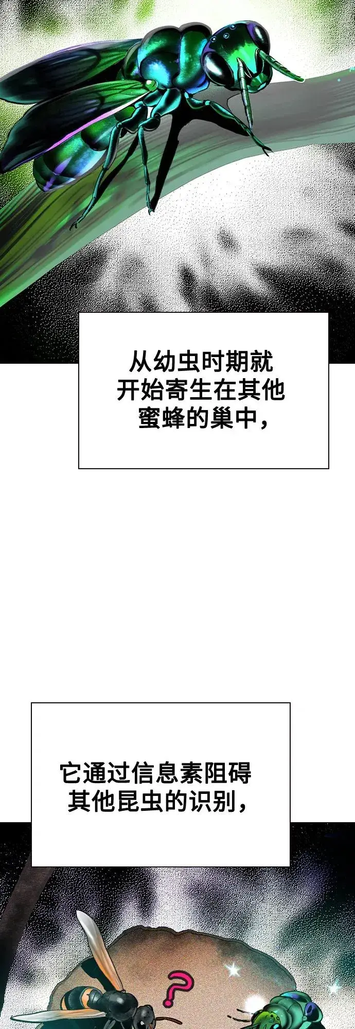 《丛林果汁》第2季 第40话图48