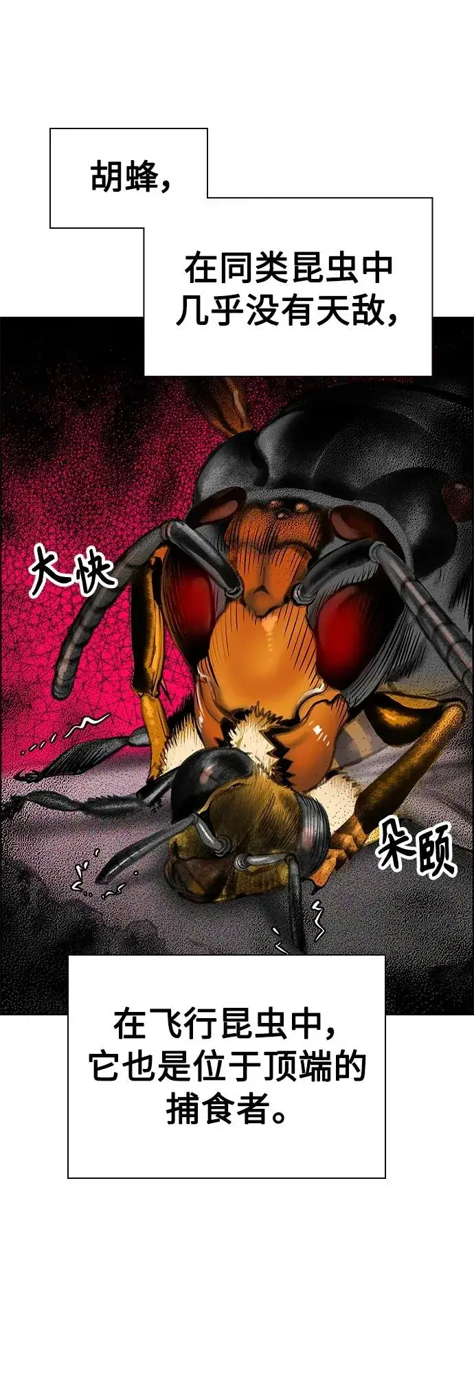 《丛林果汁》第2季 第12话图108