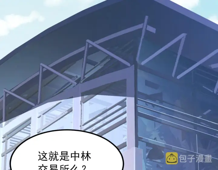 《从末世崛起》119 华国之壁图99