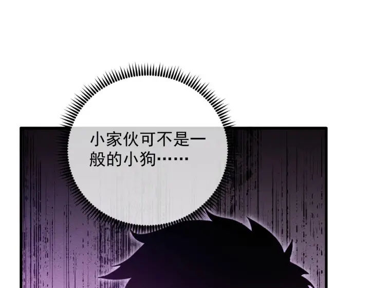 《从末世崛起》178 压轴宝物·天价竞拍图72