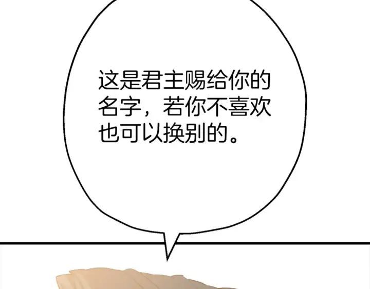 《从士兵到君主》完结篇  新的征程图219