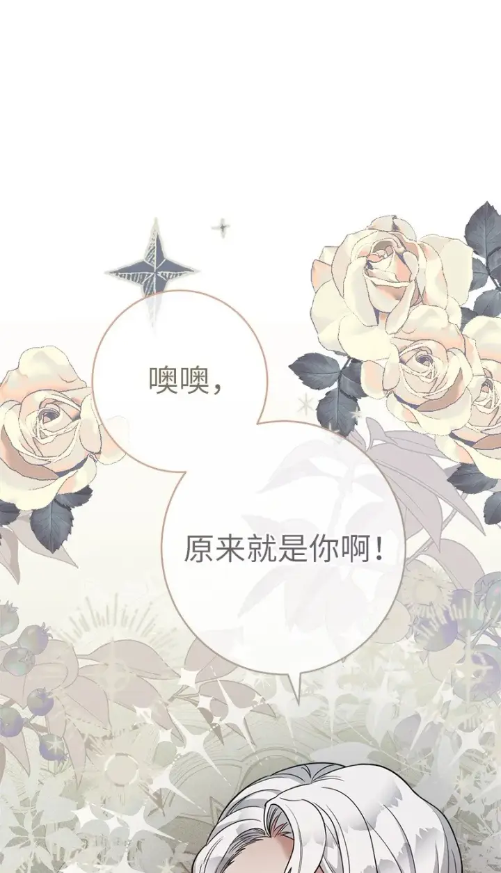 《错把结婚当交易，却意外的甜蜜？》23 谒见陛下图63