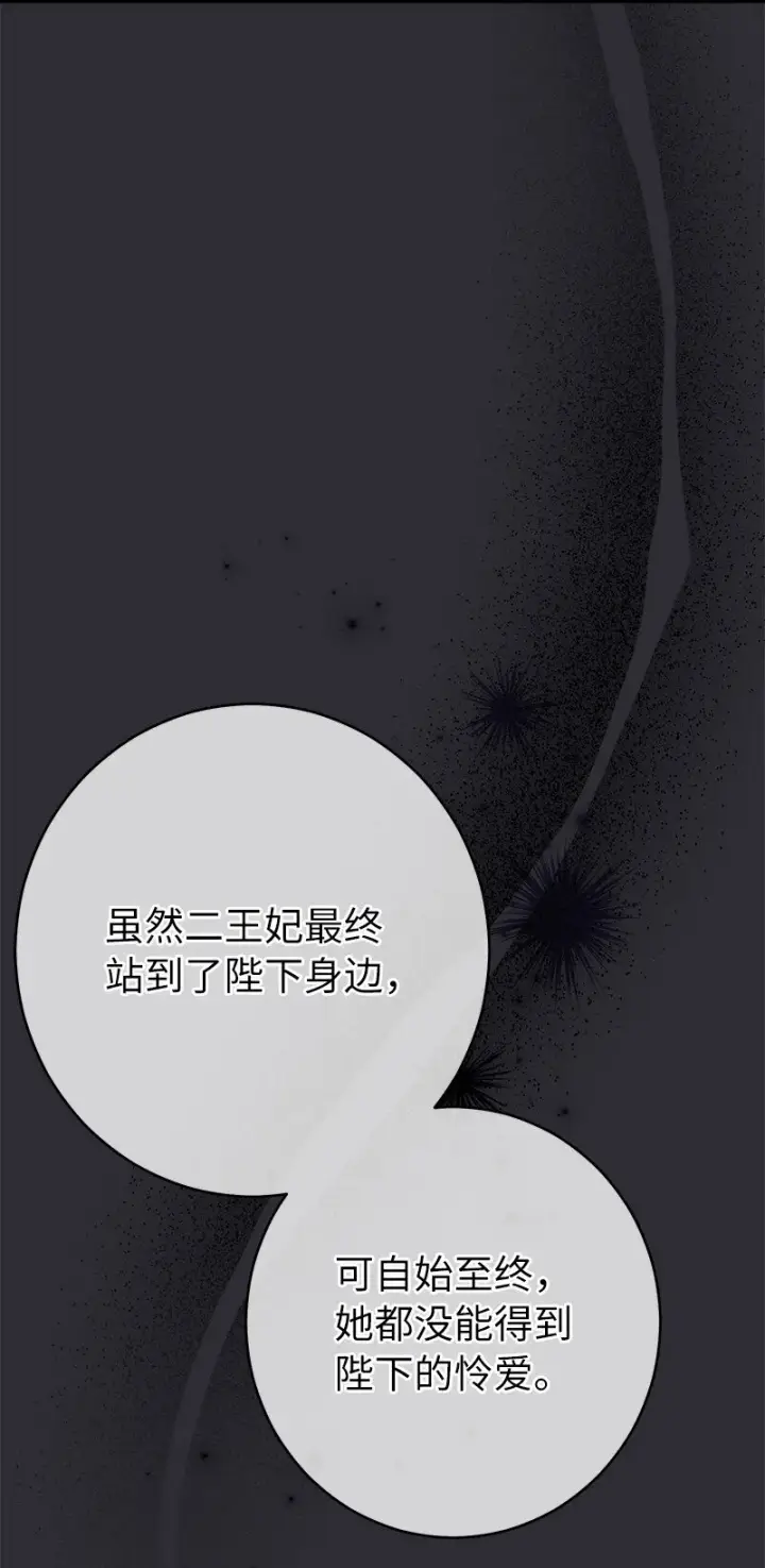 《错把结婚当交易，却意外的甜蜜？》26 二王子的身世图103