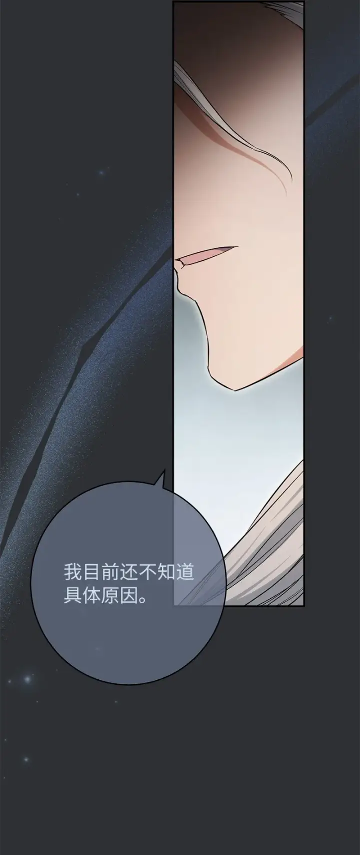 《错把结婚当交易，却意外的甜蜜？》26 二王子的身世图33