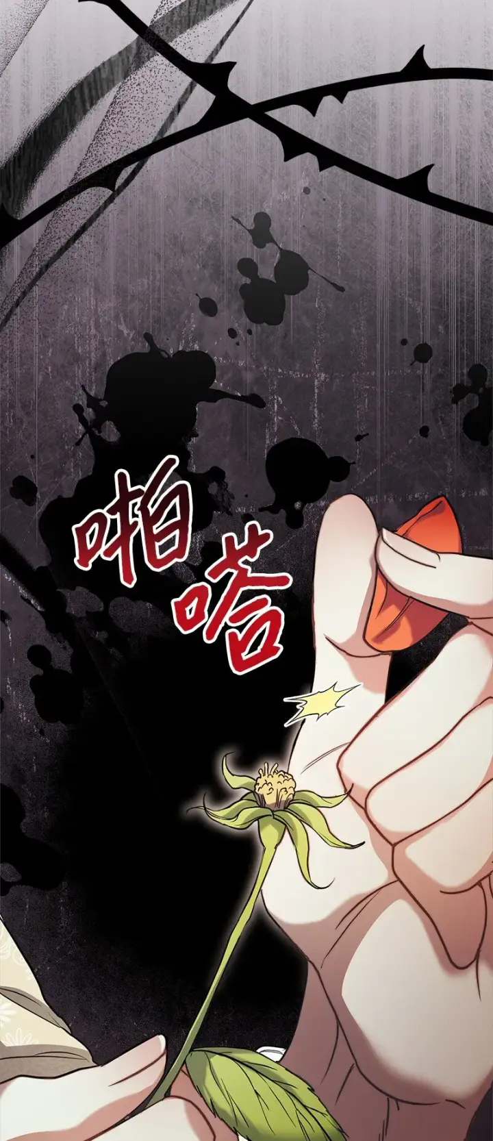 《错把结婚当交易，却意外的甜蜜？》26 二王子的身世图49