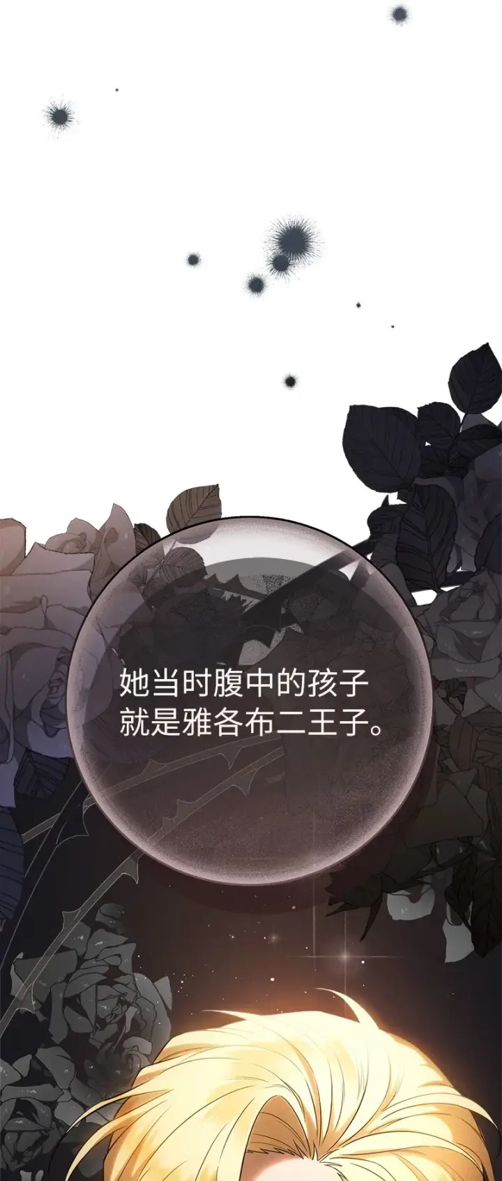 《错把结婚当交易，却意外的甜蜜？》26 二王子的身世图89