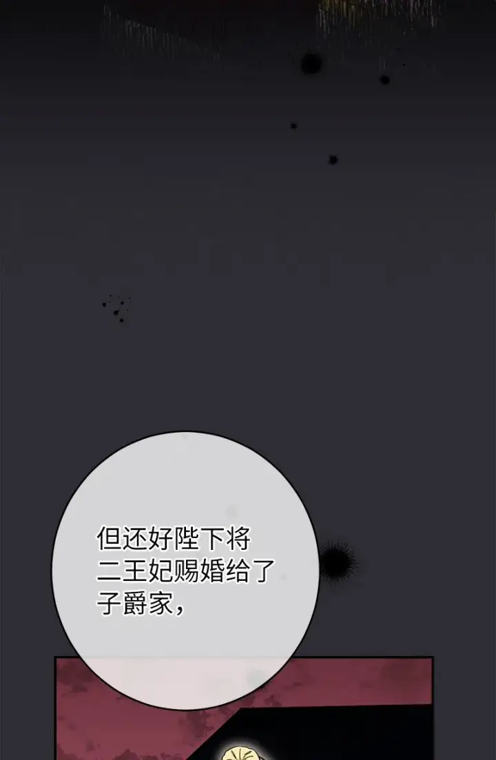《错把结婚当交易，却意外的甜蜜？》26 二王子的身世图95