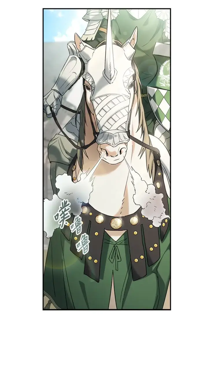 《错把结婚当交易，却意外的甜蜜？》38 出乎意料的骑士图94