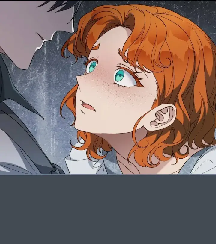 《错把结婚当交易，却意外的甜蜜？》71 达沃维尔的自述图52
