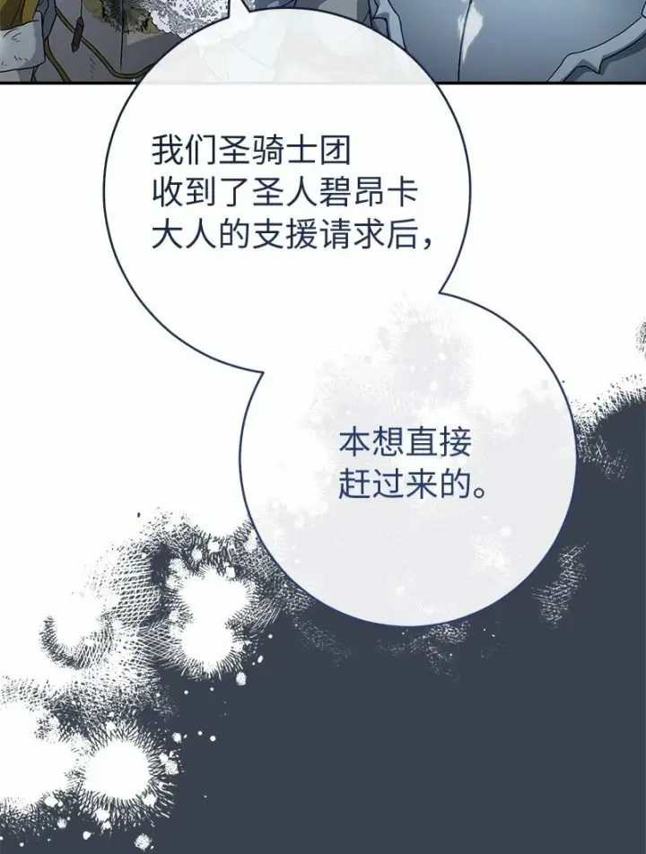 《错把结婚当交易，却意外的甜蜜？》82 圣骑士团图30