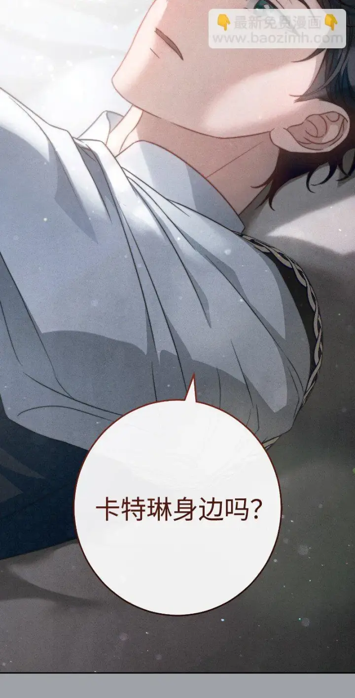 《错把结婚当交易，却意外的甜蜜？》102 他的秘密图81