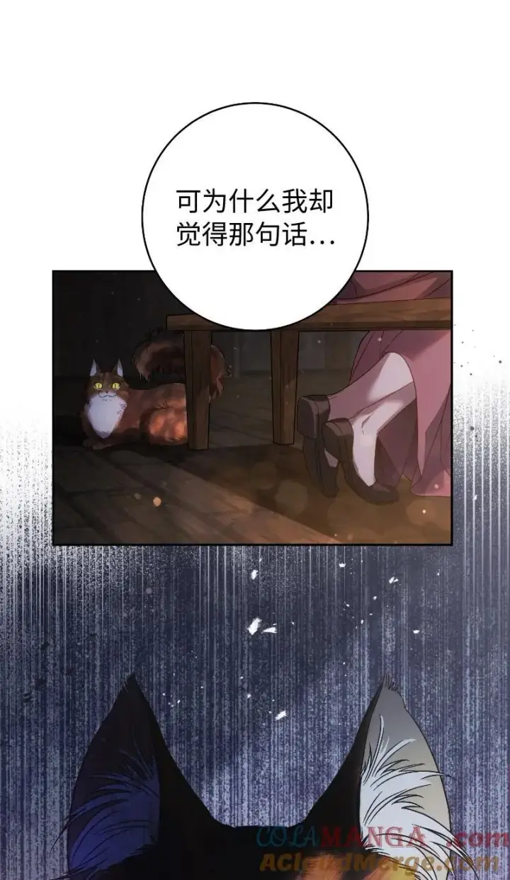 《错把结婚当交易，却意外的甜蜜？》138 促膝长谈图49