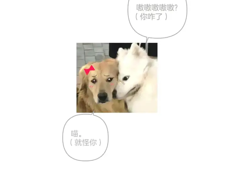 《错撩》第46话 突袭图115