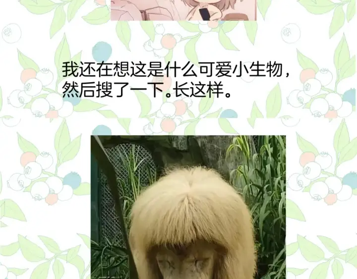 《错撩》休刊问答3图11
