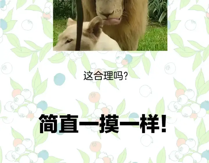 《错撩》休刊问答3图12