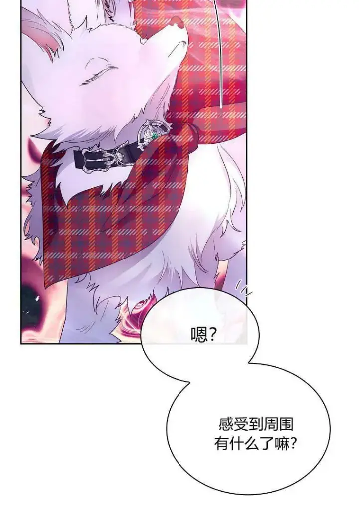 《错养了九尾狐》第41话图39