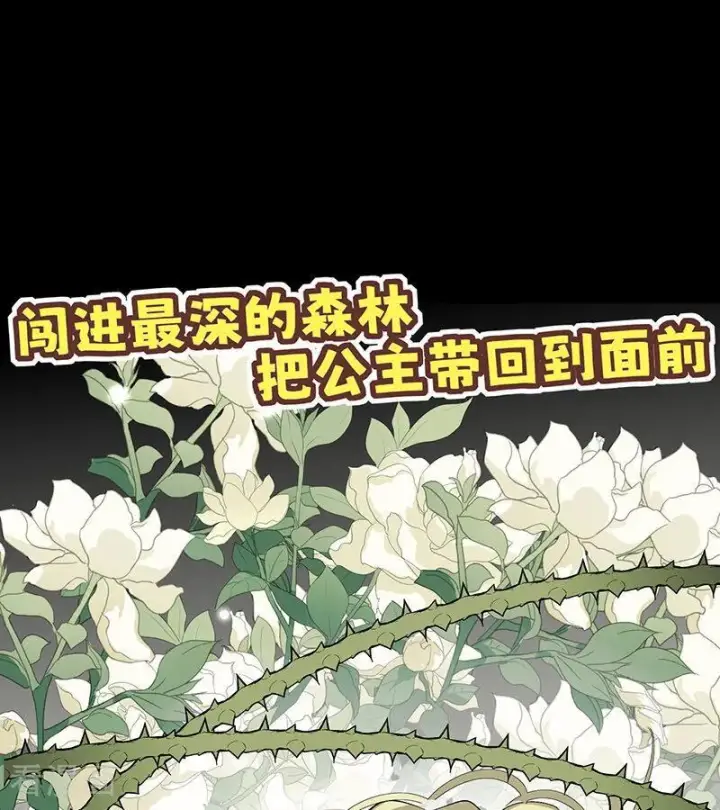 《C位成神3》第65话 达拉崩吧图66