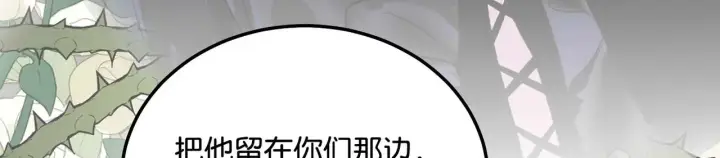 《C位成神3》96 愿望与战书图249