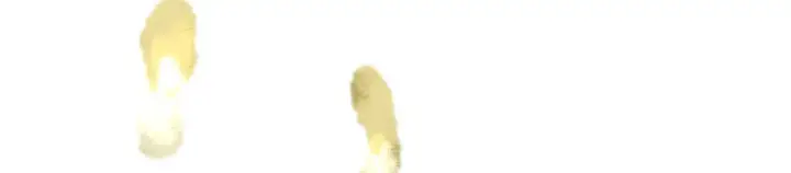 《C位成神3》103 号钟图150