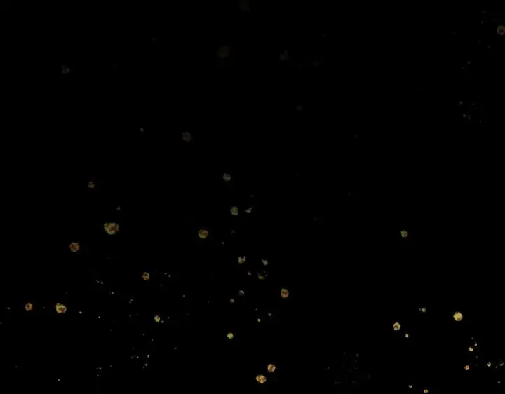 《C位成神3》106 颠倒乐园图213