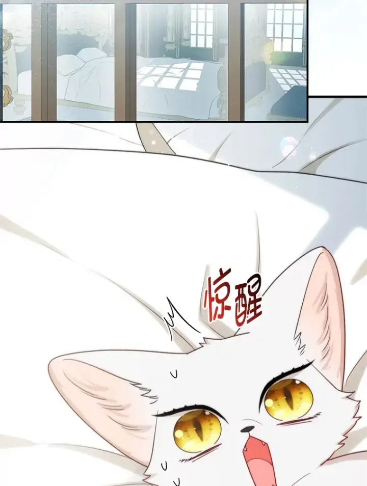《大公家的狐狸皇女》10.侄子的请求图107