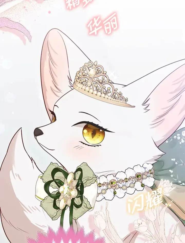 《大公家的狐狸皇女》13.宴会前的准备图104