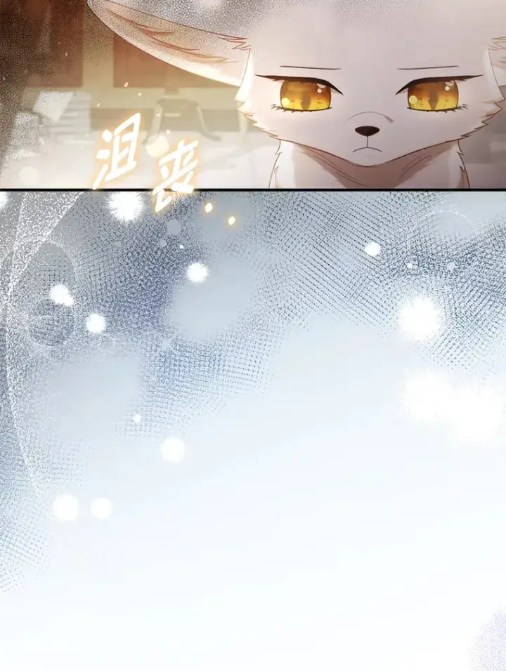 《大公家的狐狸皇女》18.小情侣闹别扭图75