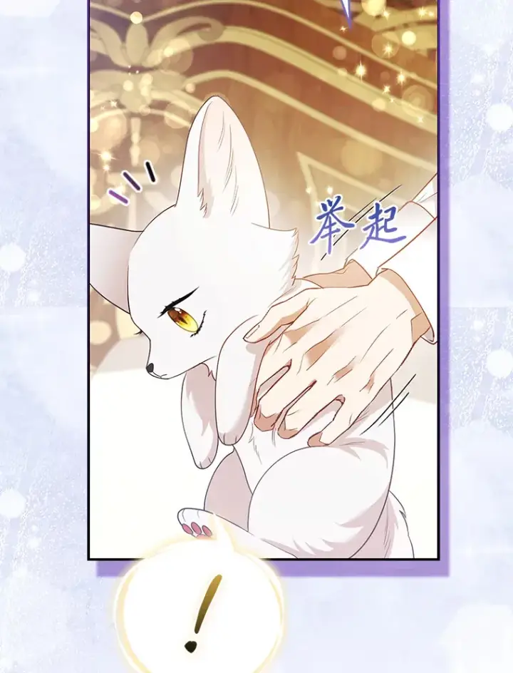 《大公家的狐狸皇女》23.助眠作战图2