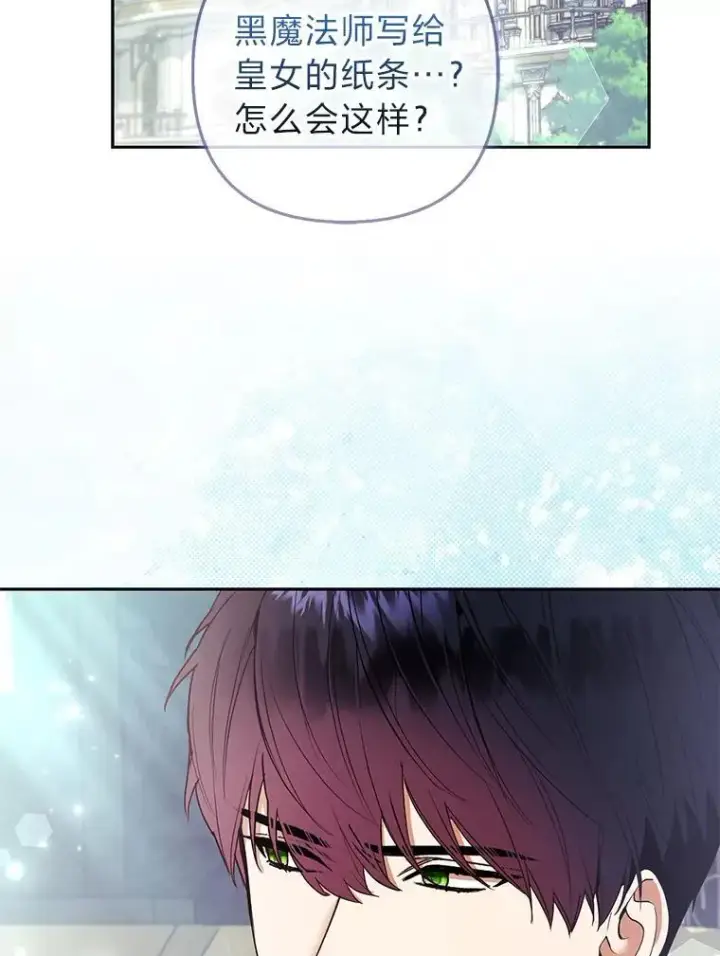《大公家的狐狸皇女》31.魔法师会议图136