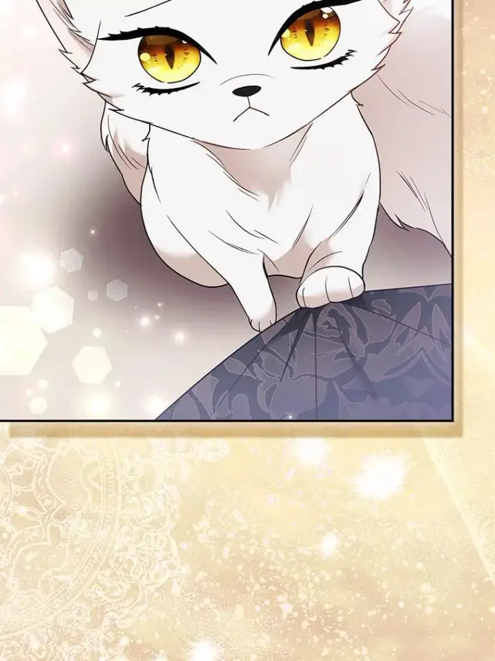 《大公家的狐狸皇女》31.魔法师会议图67