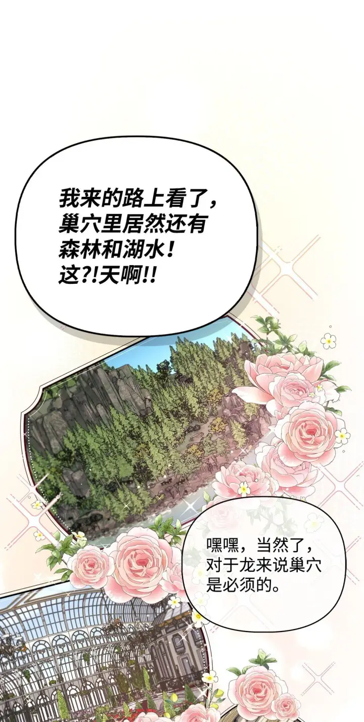 《当反派拥有了全知属性》090 龙巢图84