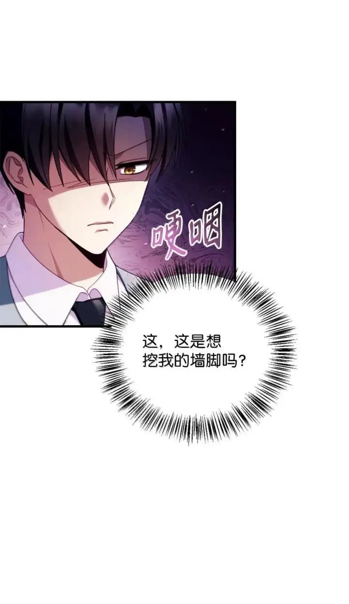 《当反派拥有了全知属性》123 魔法陨石图14