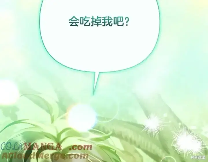 《当女巫的女儿解除了男主的诅咒》第29话图21