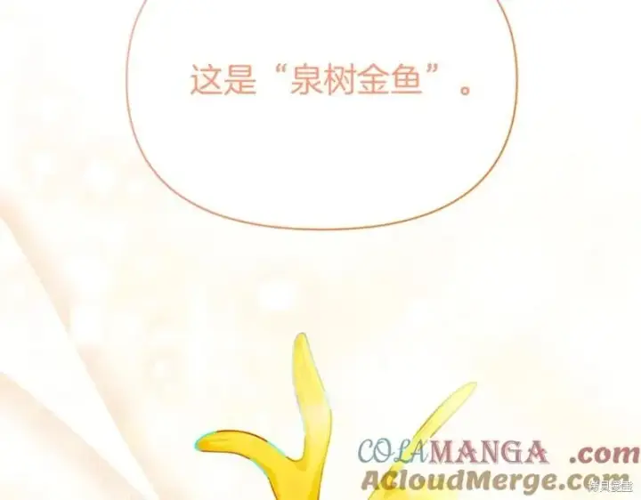 《当女巫的女儿解除了男主的诅咒》第31话图161